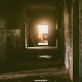 P1192618 42kLARP