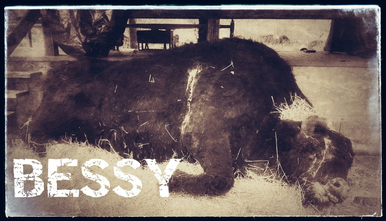 Wendigo - Bessy