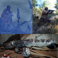 42k LARP - NSC