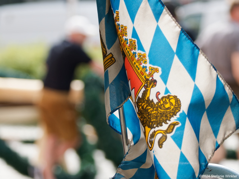 P5010202Maibaum2024