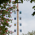 P5011409Maibaum2024