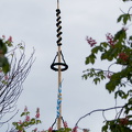 P5011422Maibaum2024