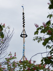 P5011422Maibaum2024