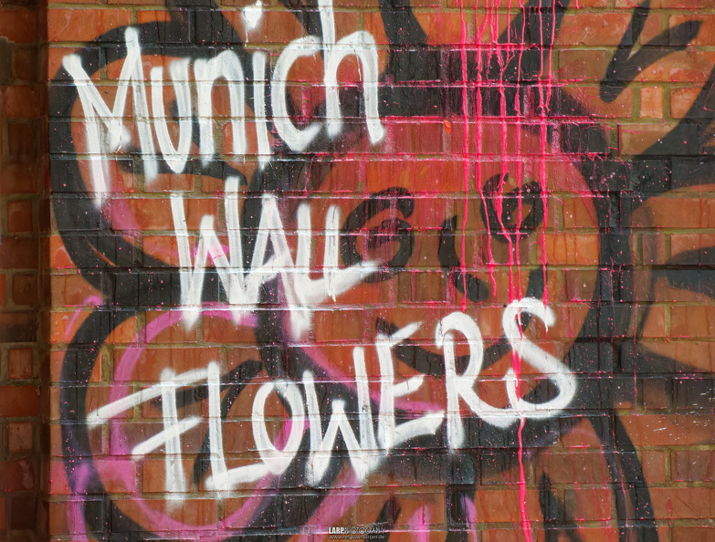 P9151124DxOStreetart