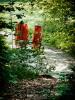 OM1 SD2-P5300270 05302025 00222 PrivateUseOnly